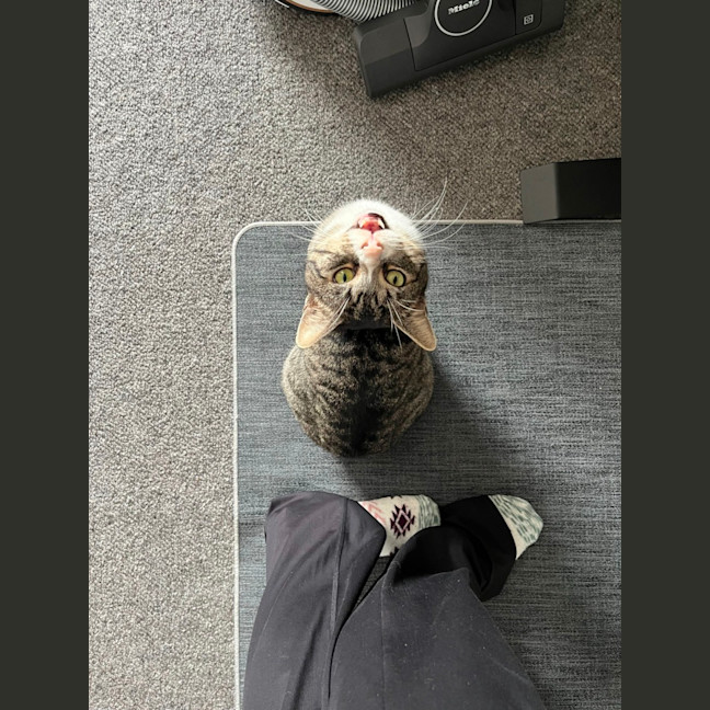 Photo of Mini Me