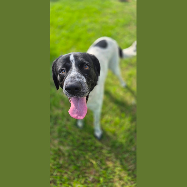 Photo of Lady Primrose (8981)