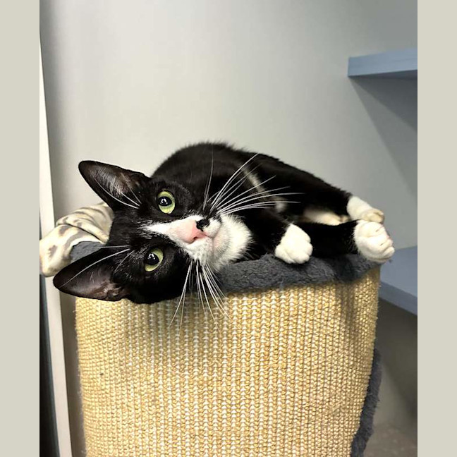 Photo of Fumeko