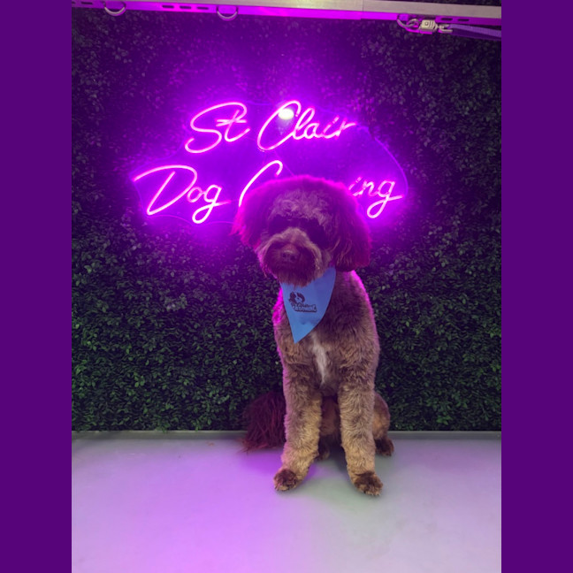 Photo of Jerry