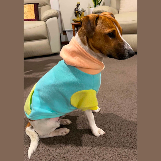 Photo of Zuzu