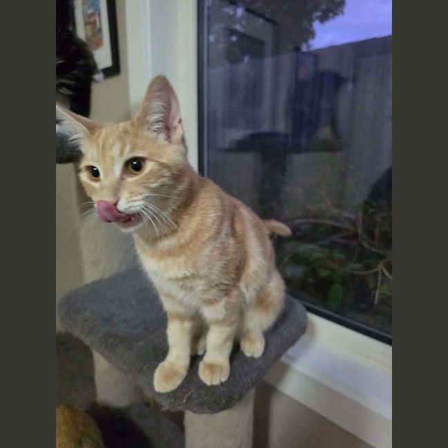 Photo of Sunny