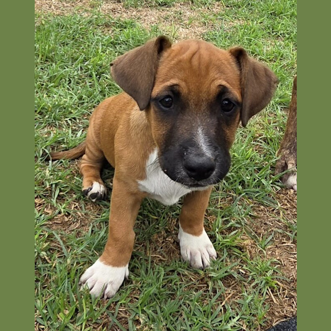 Photo of Zoe
