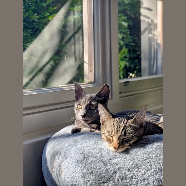 Photo of Bobby And Boris
