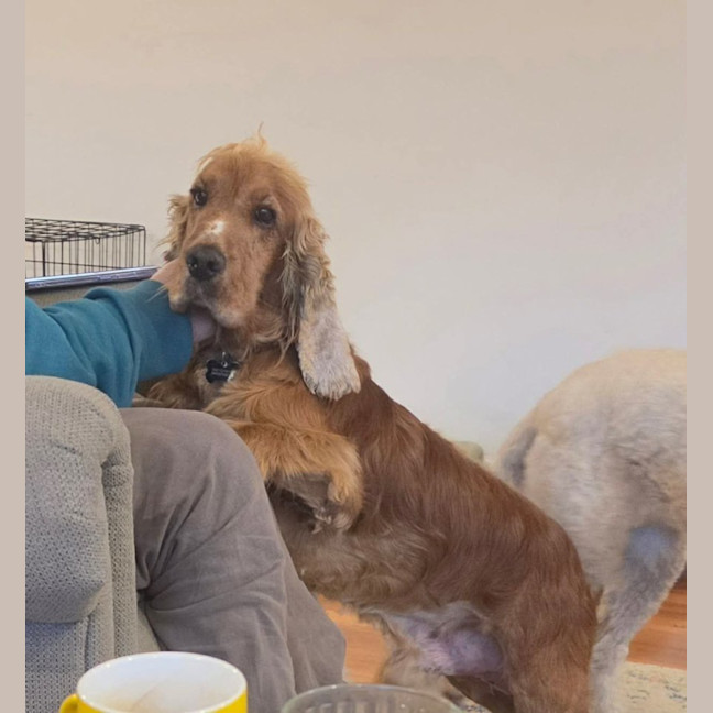 Photo of Dudley