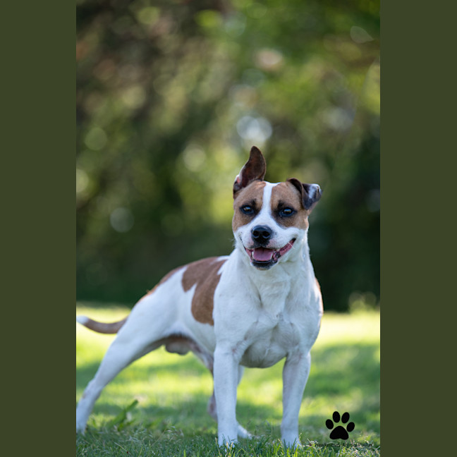 Photo of Monty