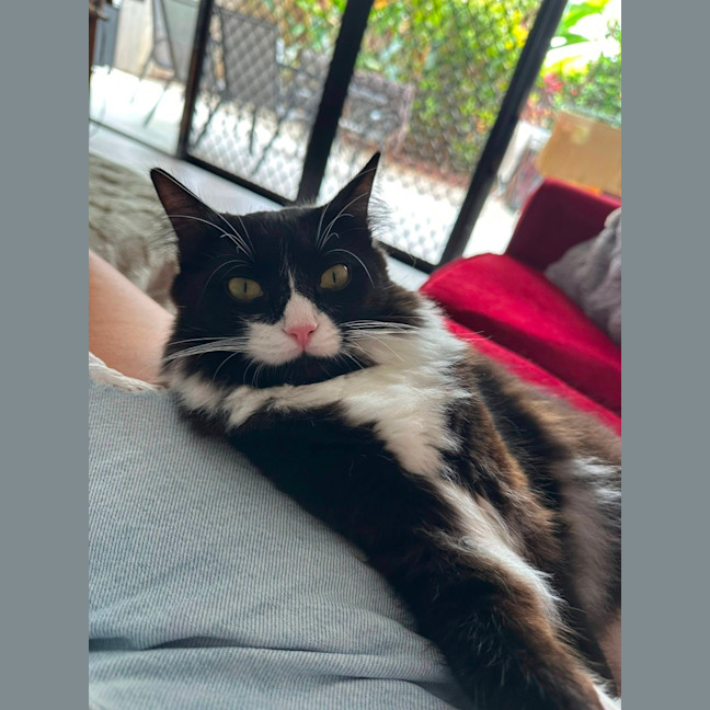 Photo of Willow And Jasper