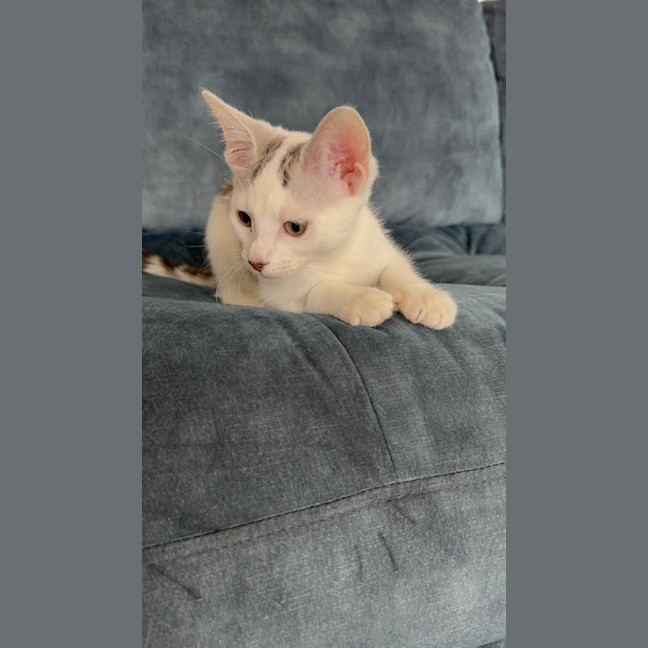 Photo of Milk Bottle