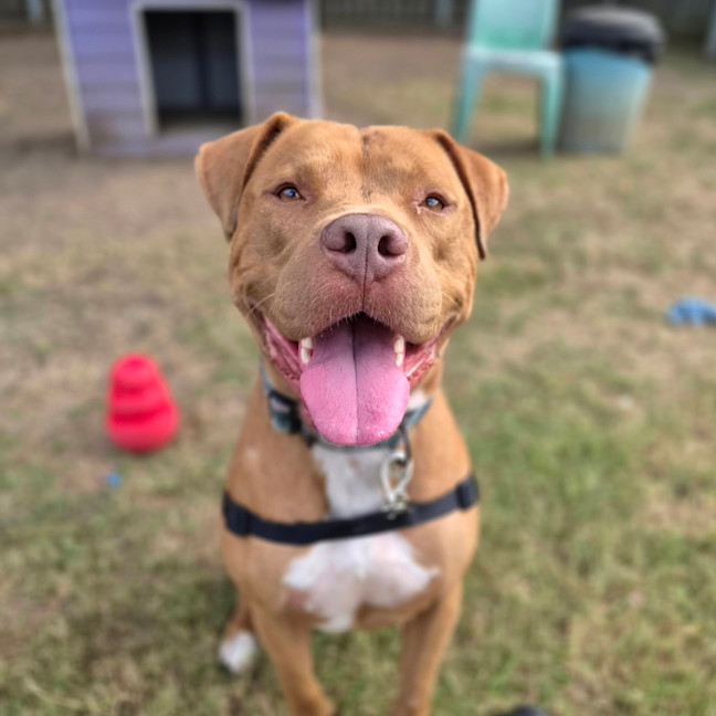 Photo of Tucker