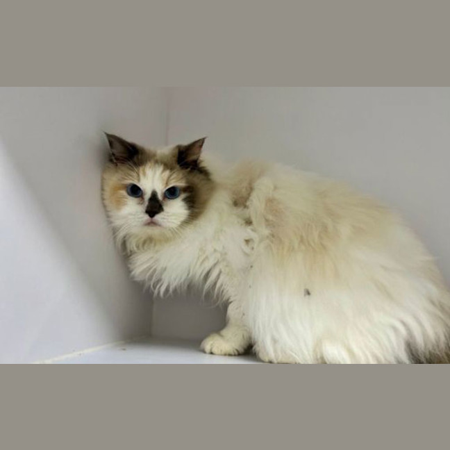 Photo of Marjorie