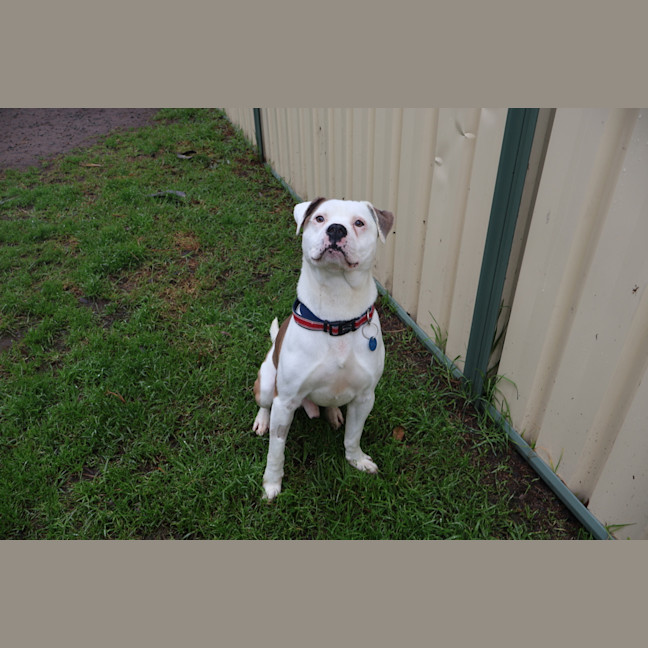 Photo of Flynn