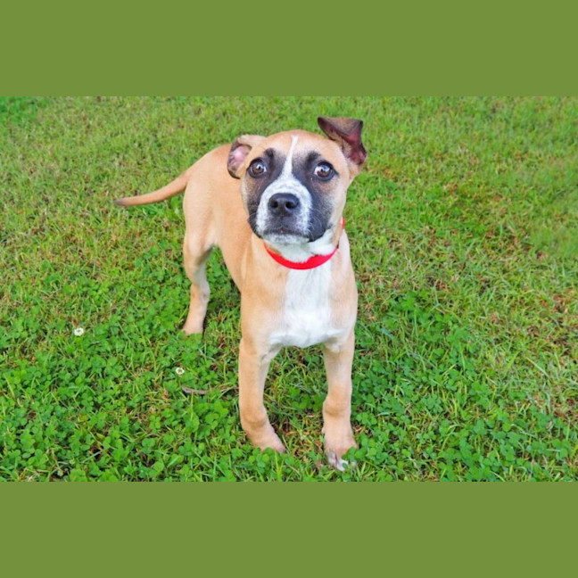 Photo of Fonzie