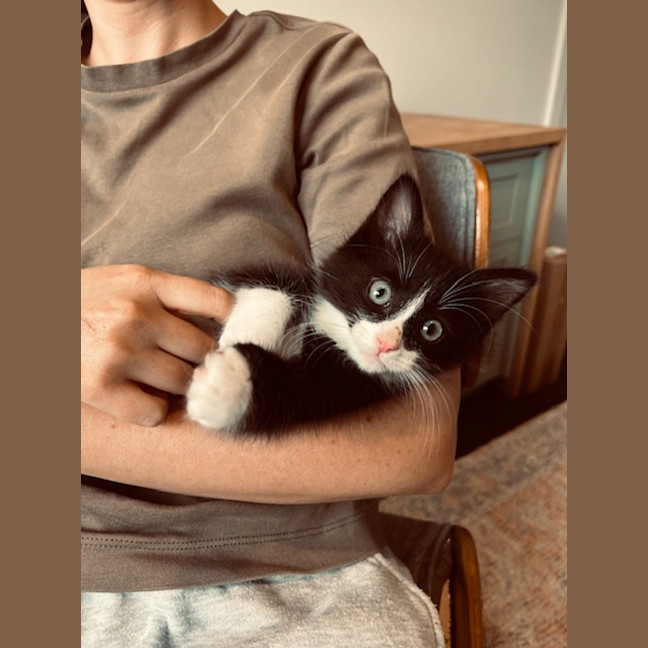 Photo of Boots ( Was Smore)
