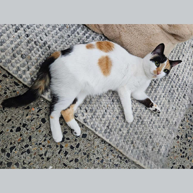 Photo of Mitzi