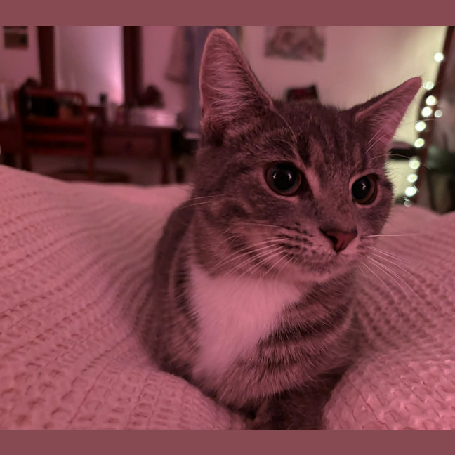Photo of Winifred