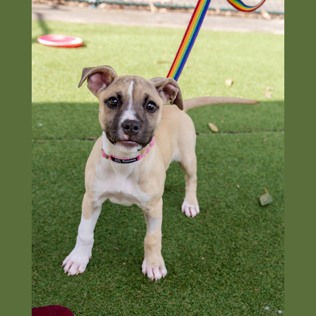 Photo of Lottie Bell