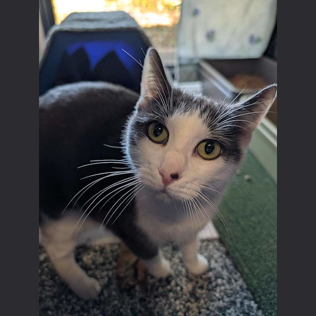 Photo of Rosie
