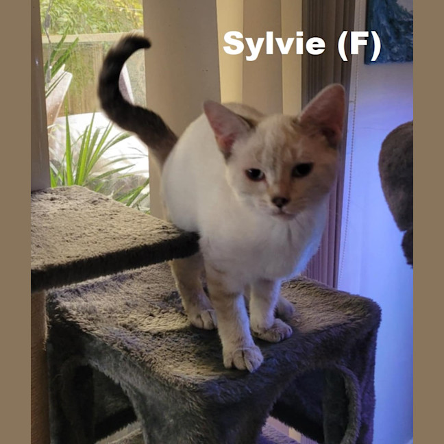 Photo of Sylvie
