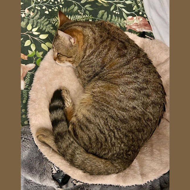 Photo of Steve