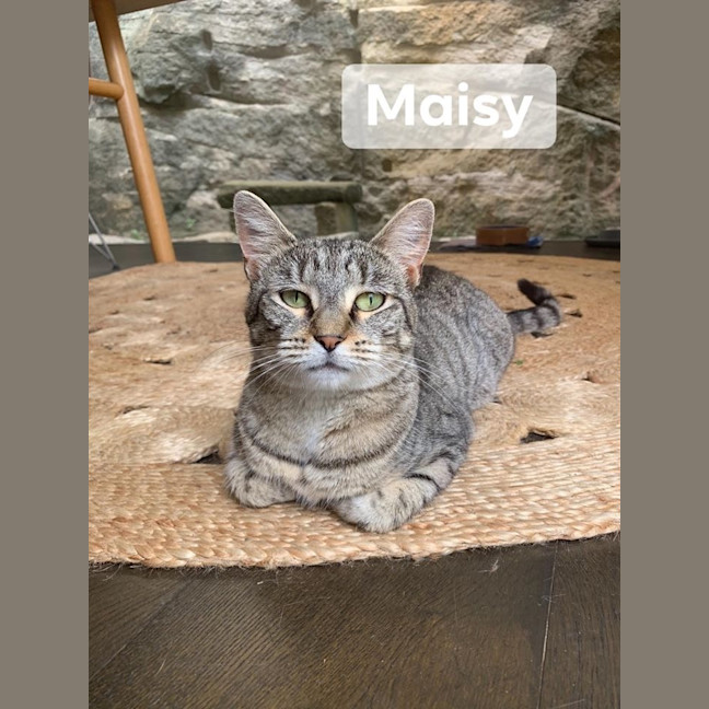 Photo of Maisy 