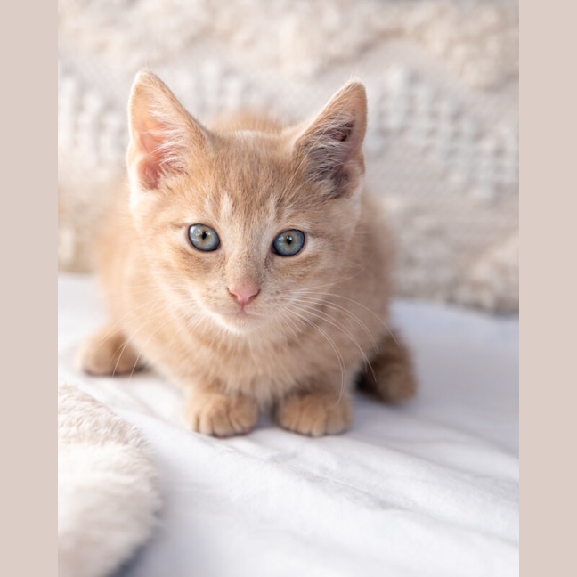 Photo of Bingo