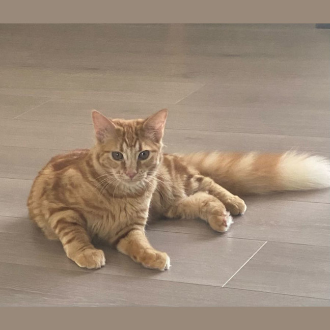 Photo of Harry
