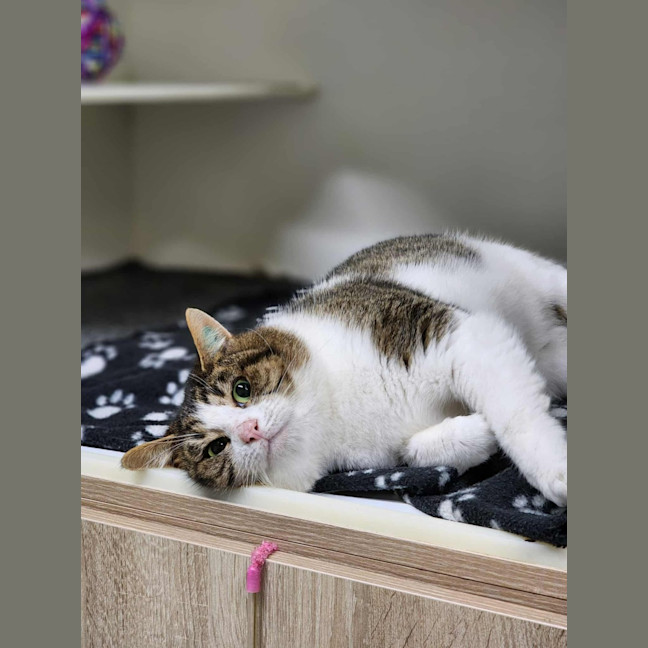 Photo of 🎣 Rafferty 6254 🎣