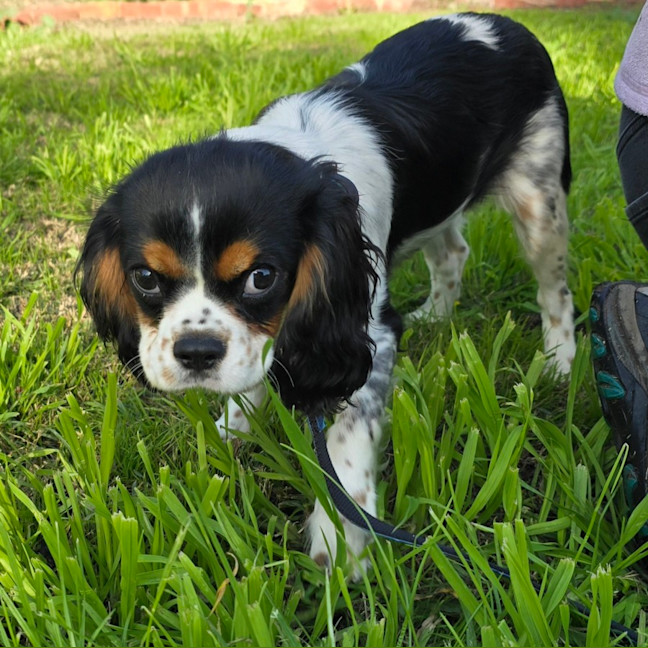 Photo of Flash