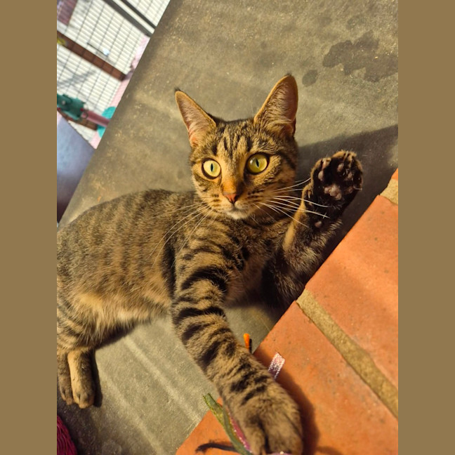 Photo of Jolene!👢