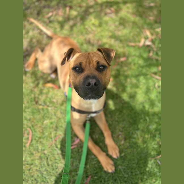 Photo of Tank