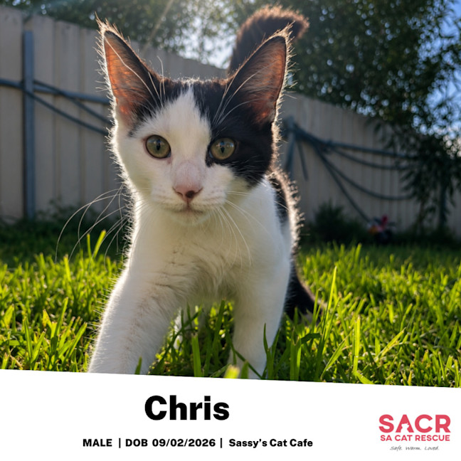 Photo of Chris