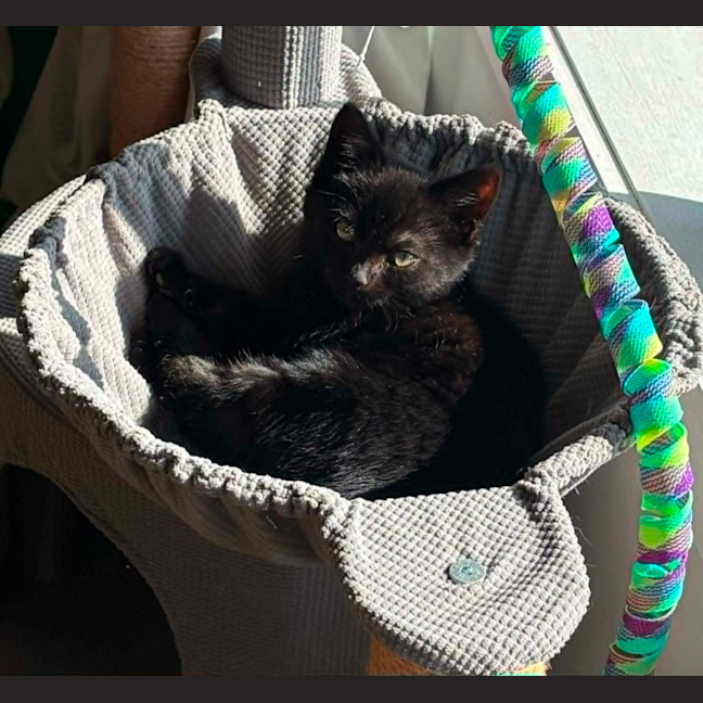 Photo of Billie Buttons