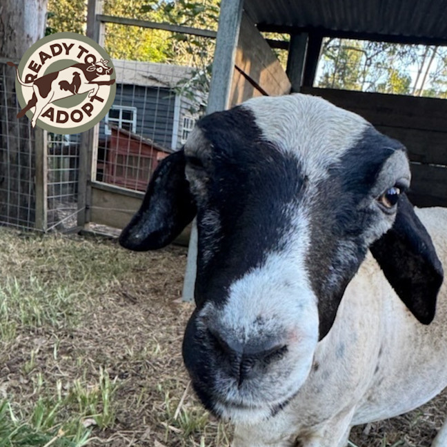 Photo of Thelma & Louise