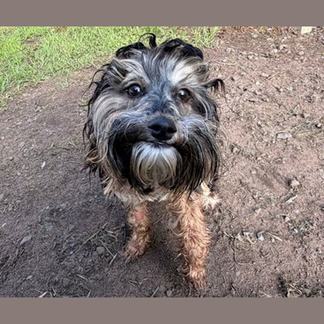 Photo of Cleo