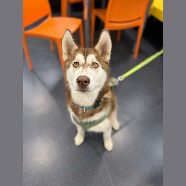 Photo of Gus