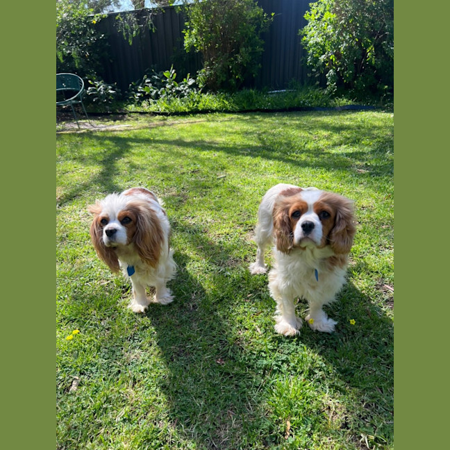 Photo of Bianca And Annie