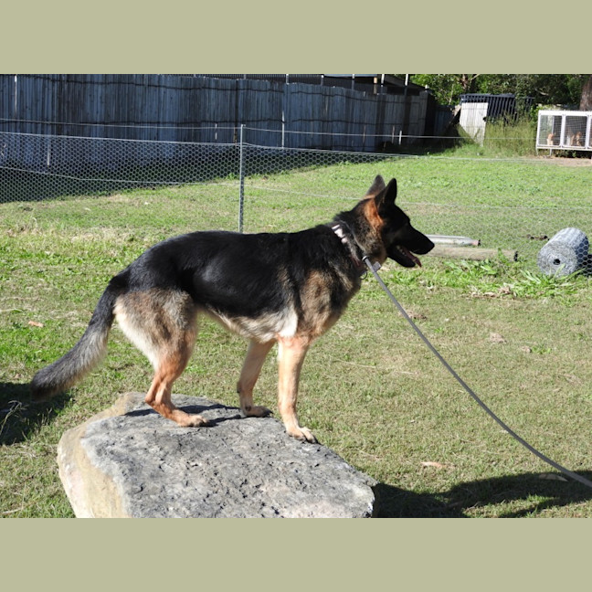 Photo of Bessy