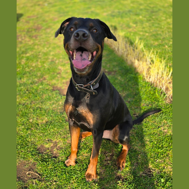 Photo of Charlie   64056