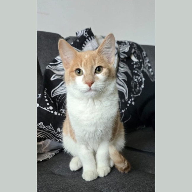 Photo of Bingo