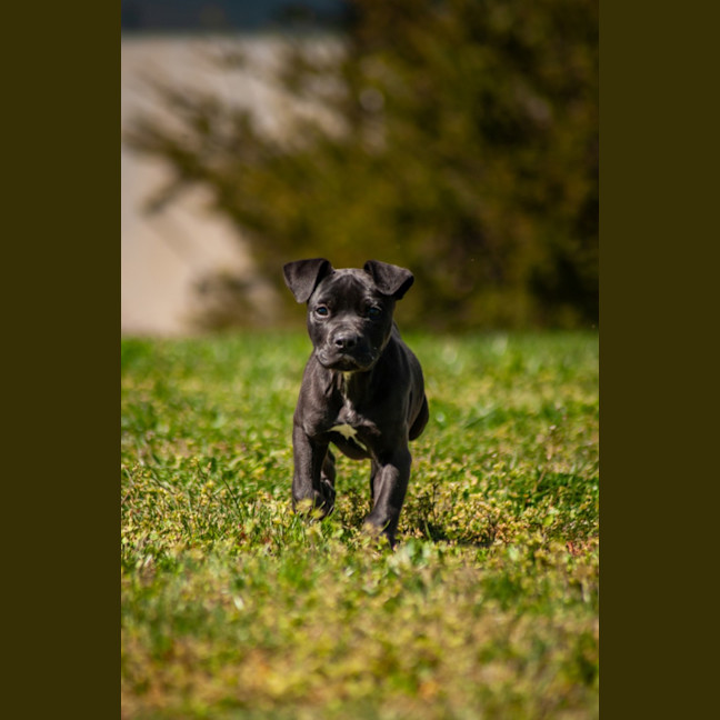 Photo of Texas
