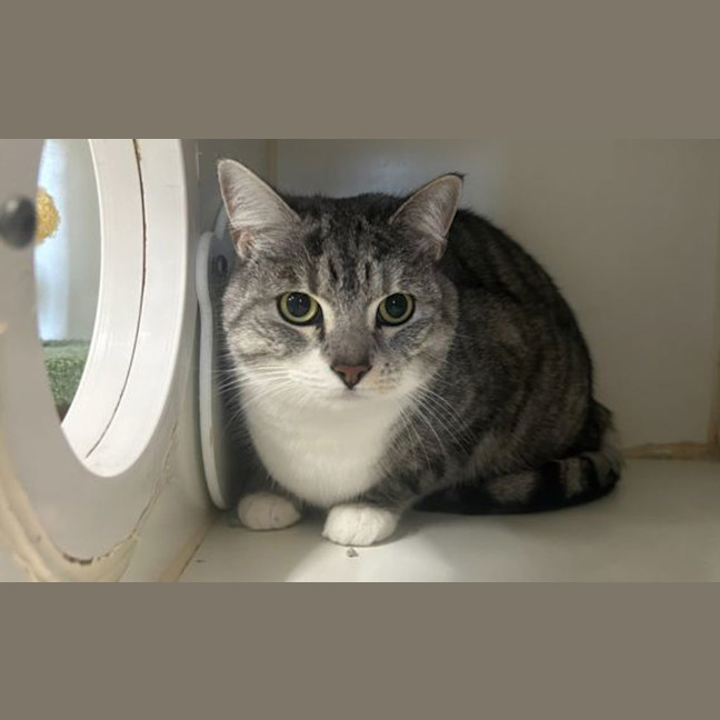 Photo of Luna 