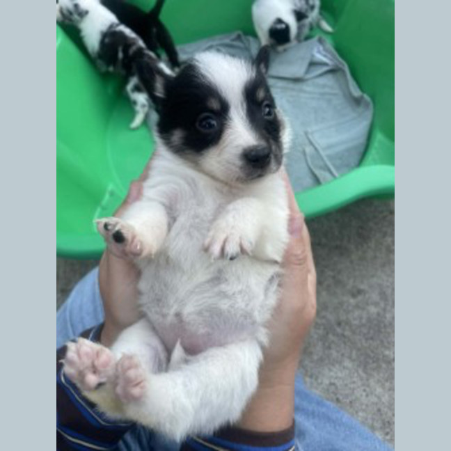 Photo of Lumie