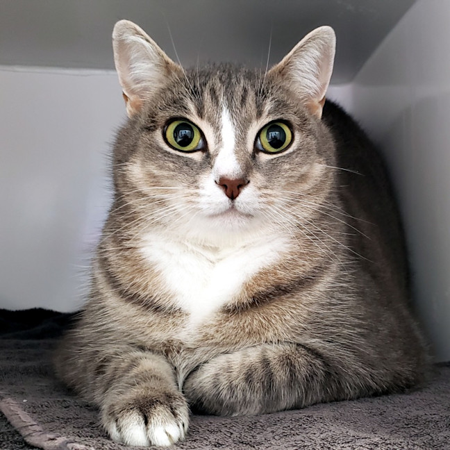 Photo of Molly Rsua008910