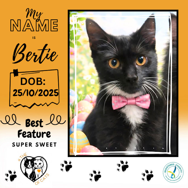 Photo of Bertie