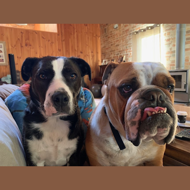 Photo of Iggy And Lou Lou