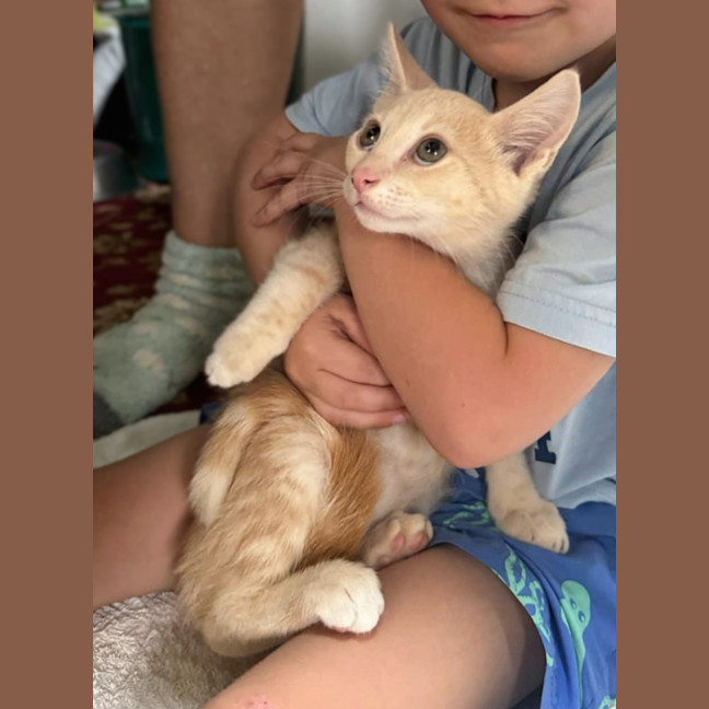 Photo of Rudolph 🦌