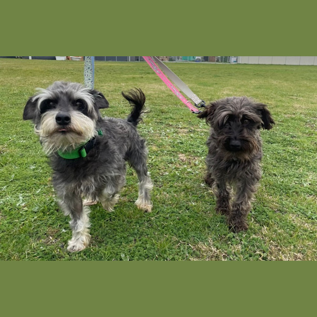 Photo of Ruth And Remi