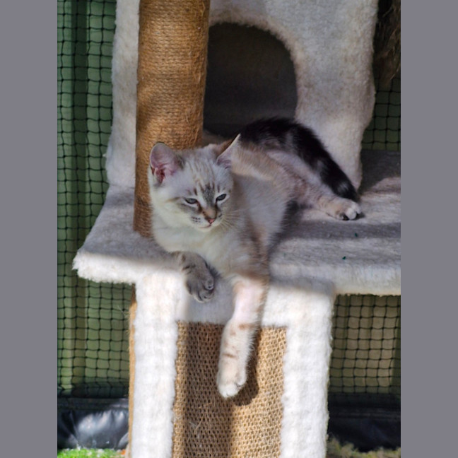 Photo of Marie