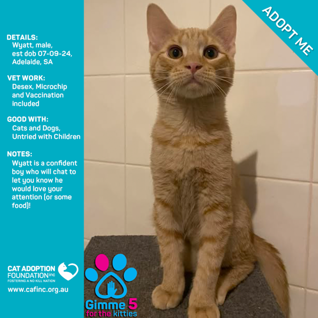 Photo of Wyatt 2 For 1 Mum & Bubs Deal Available!