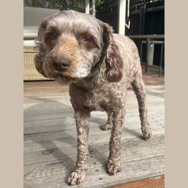 Photo of Charlie & Mei Mei